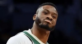 美女兽医直播公牛配种过程：专业科普趣味十足